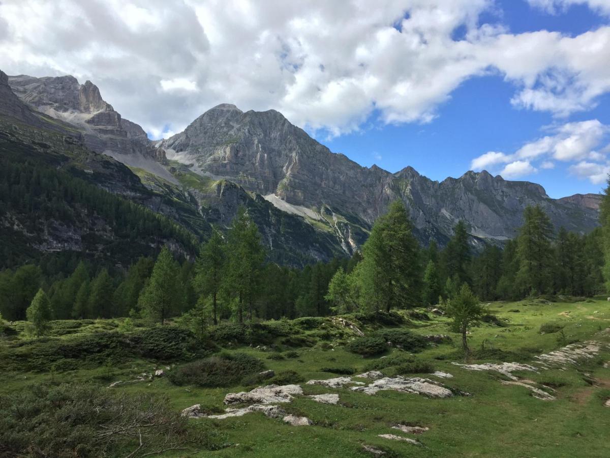 Appartamento La casa dei nonni Tassullo Esterno foto